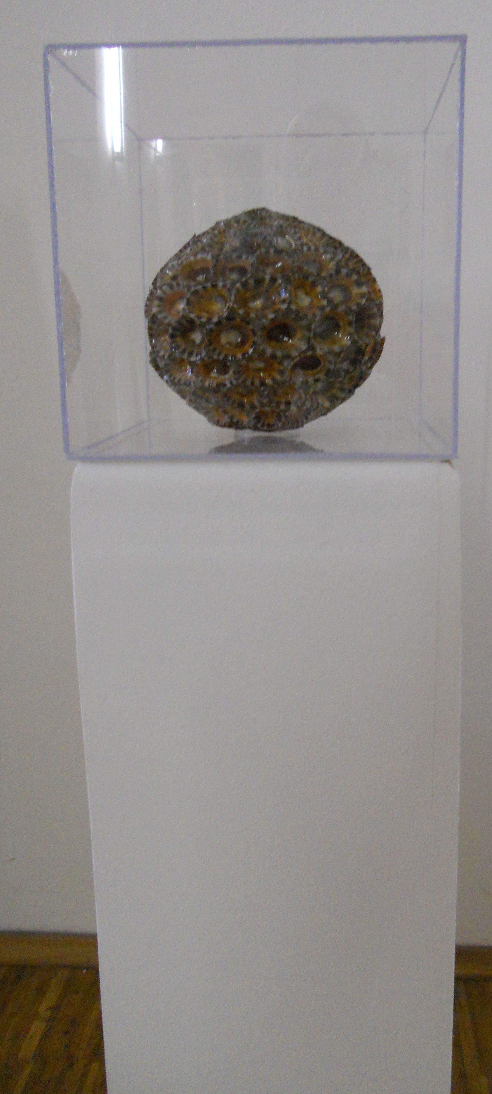 MW 17 (Hohe Aufl&ouml;sung)